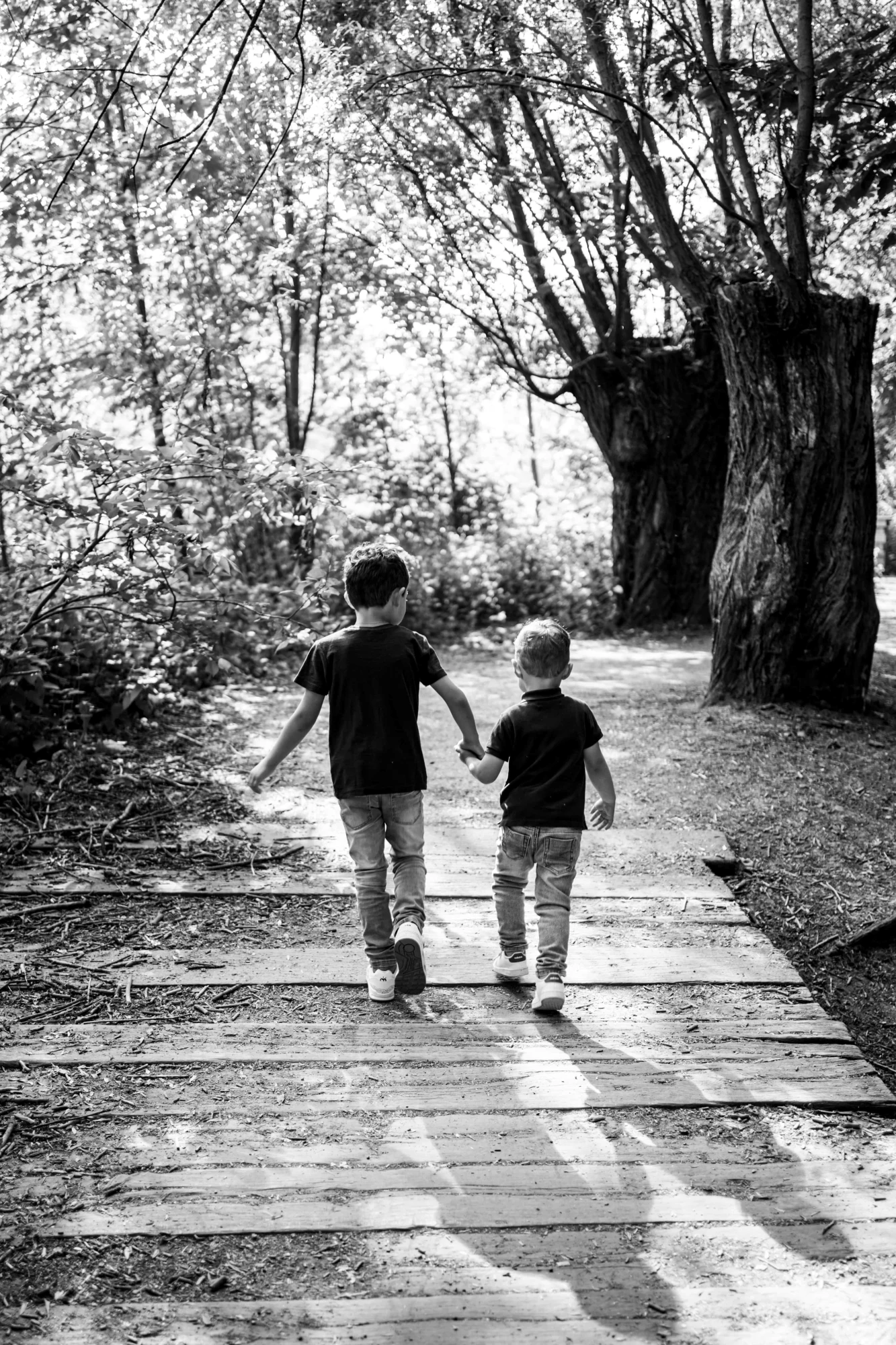 Deux jeunes frères se promenant main dans la main sur un sentier boisé. photographe-lille